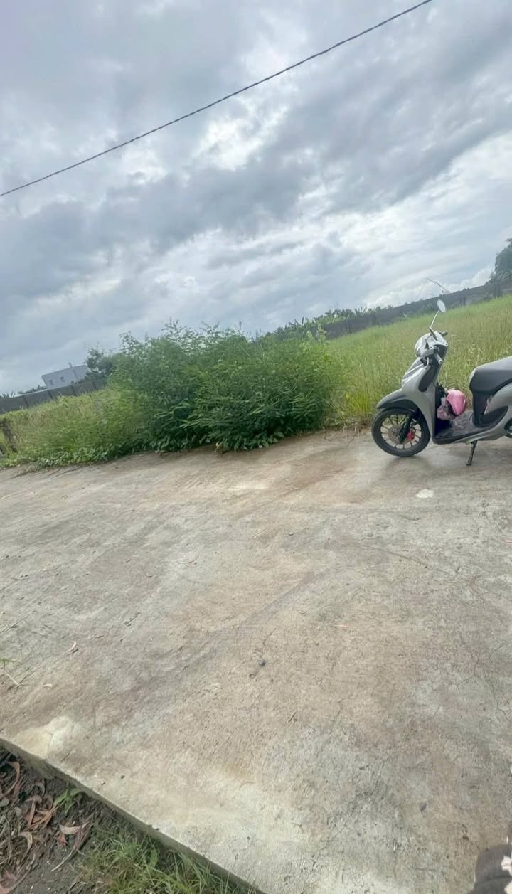 Đất thổ cư + vườn 860m² tại Phước Hậu, Cần Giuộc - Giá 3.3 tỷ, đường lớn xe du lịch