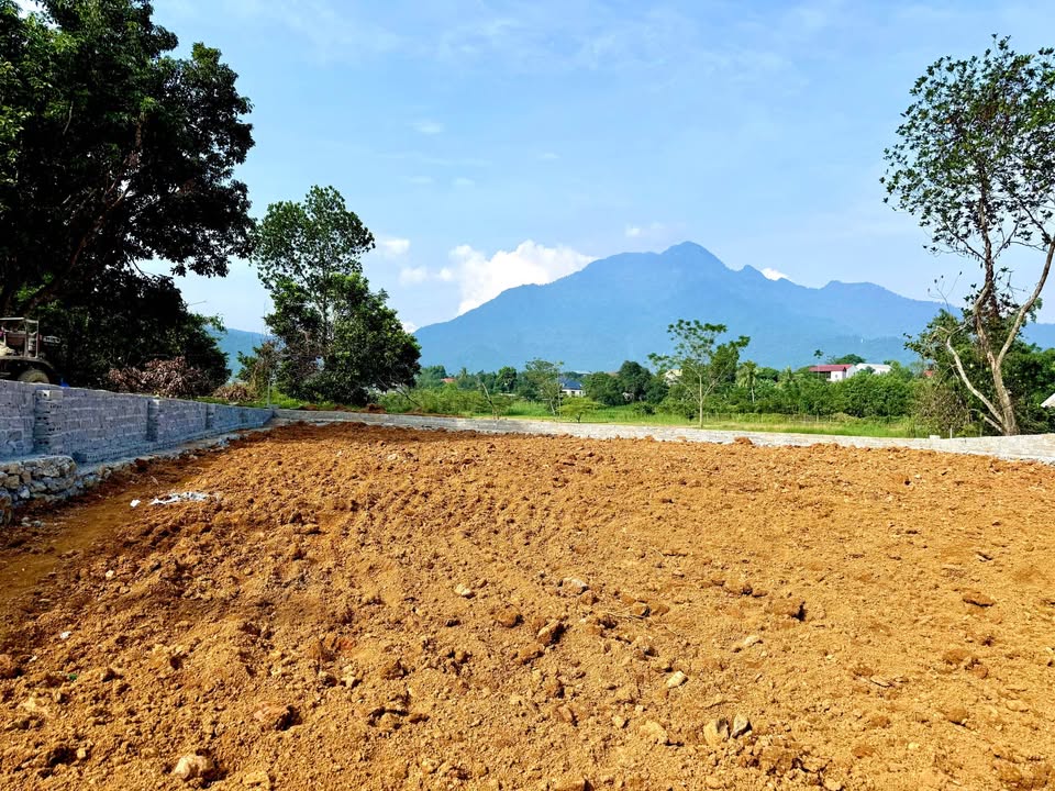 Đất Yên Bài, Ba Vì 545m² - Mặt tiền 10m, View Núi Đẹp!