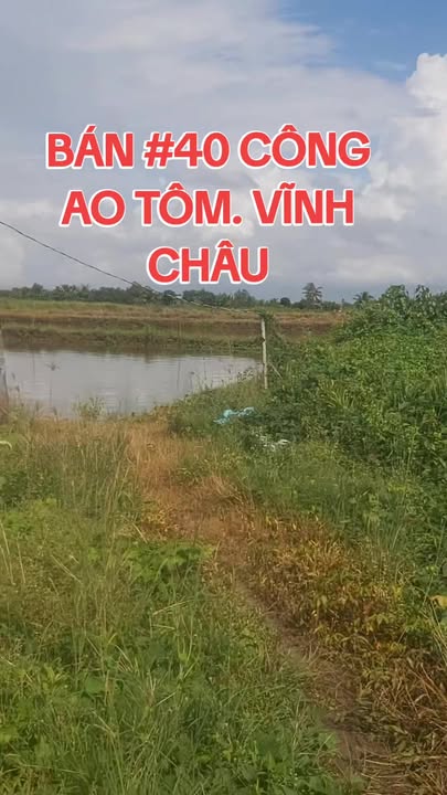 Đất nền Vĩnh Tân 40.000m² giá 1.2 tỷ - Cơ hội đầu tư sinh lời!