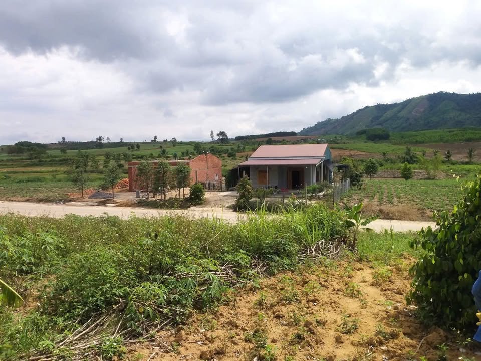 Đất thổ cư M'Đrắk 400m² giá 500 triệu - Mặt tiền đẹp, dễ kinh doanh!