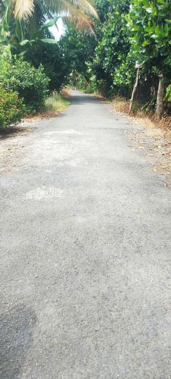 Đất nền xã Ba Sao, TP Cao Lãnh 192m² giá chỉ 650 triệu - Đầu tư sinh lời tuyệt vời!