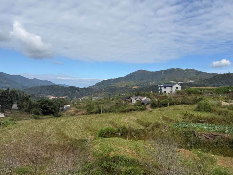Đất nghỉ dưỡng tại xã Tả Phìn - Sa Pa 600m² giá 3.6 tỷ - Cơ hội đầu tư hấp dẫn!