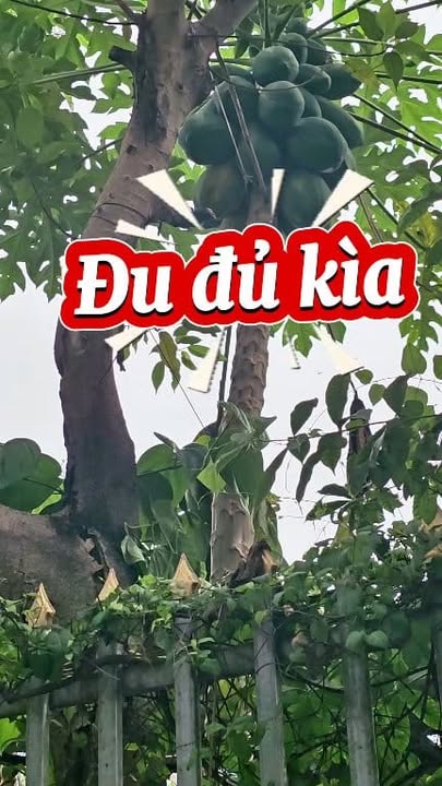 Nhà phố Thuận An 150m² giá 3.5 tỷ - Vị trí đắc địa, tiện ích đầy đủ!