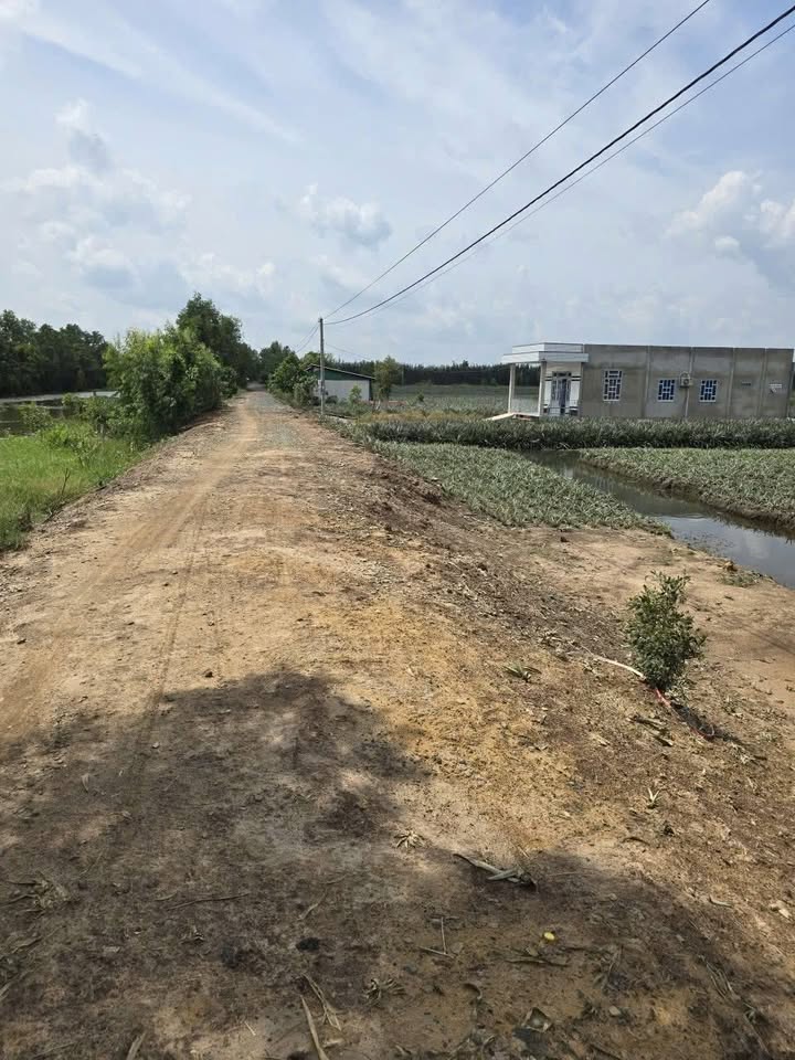 Đất nông nghiệp 30 công tại ấp Mỹ Lộc, Tân Phước - Giá chỉ 4.5 tỷ VND!