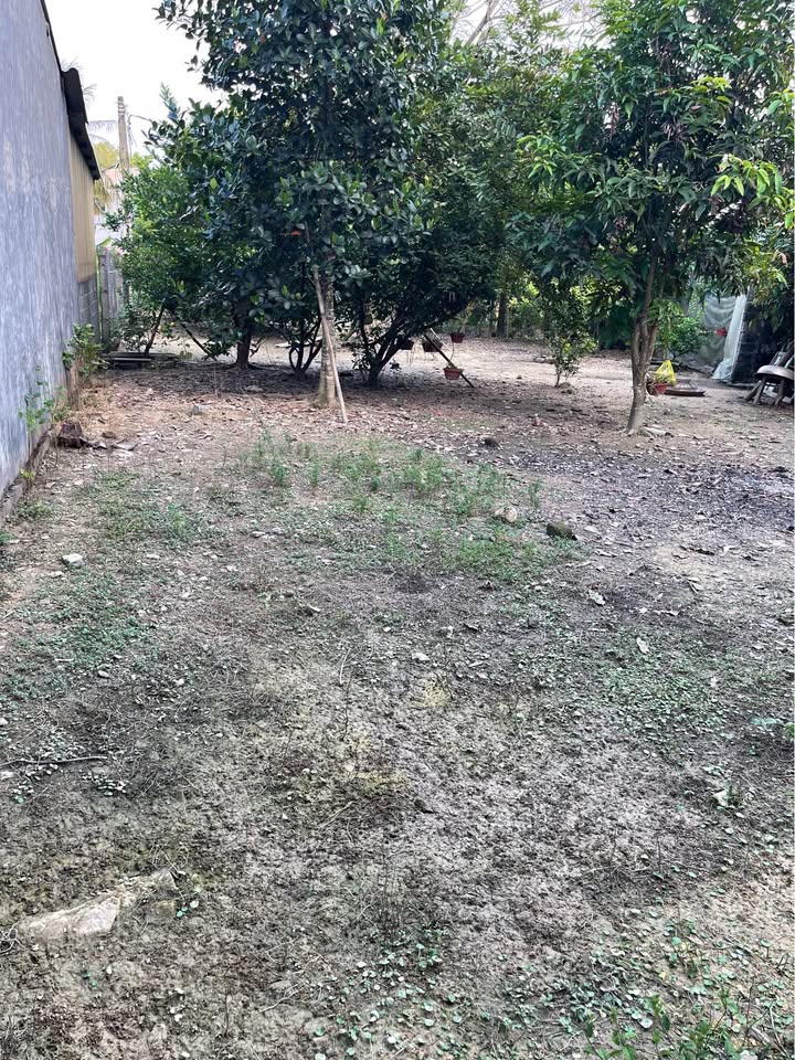 Đất chính chủ phường Minh Xuân, 140m², giá thỏa thuận - Cơ hội đầu tư hấp dẫn!