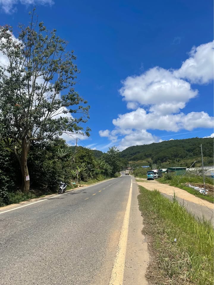 Đất sổ riêng mặt tiền Quốc lộ 27C, xã Lạc Dương, diện tích 3829m² - Cơ hội đầu tư sinh lời!