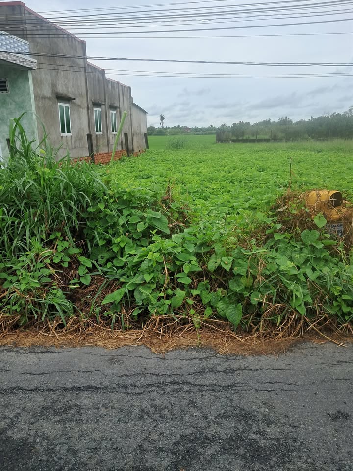 Đất mặt tiền đường Long Hưng, Gò Công 429m² giá 1.35 tỷ - Đầu tư lý tưởng!