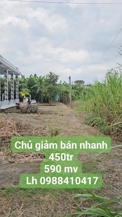 Đất nền Tân Trung 590m² giá 450 triệu - View sông mát mẻ, chính chủ bán gấp!