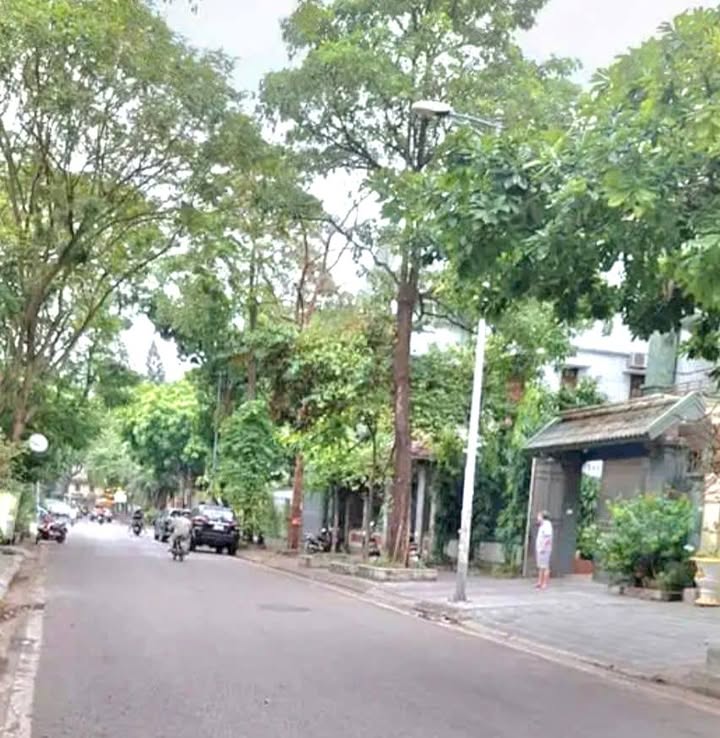 Biệt thự Bán đảo Linh Đàm 253m² giá thỏa thuận - Cơ hội đầu tư sinh lời!