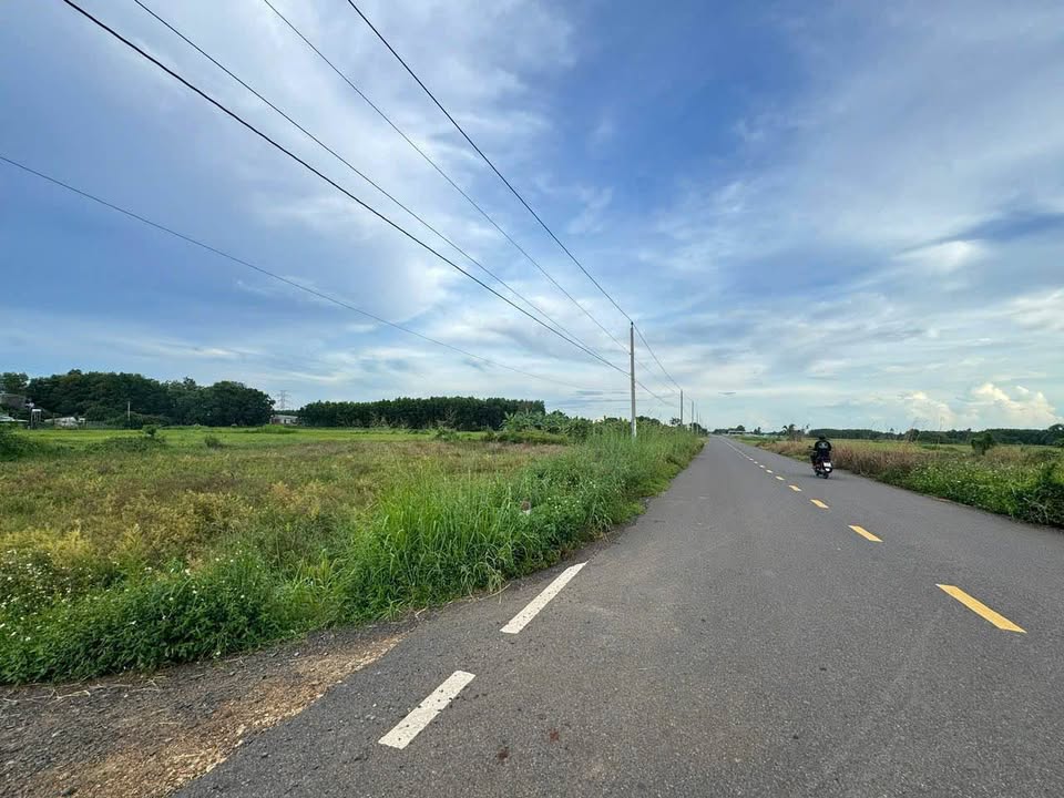 Đất nền Long Tân, Đất Đỏ 120m² giá 550 triệu - Cơ hội đầu tư hấp dẫn!