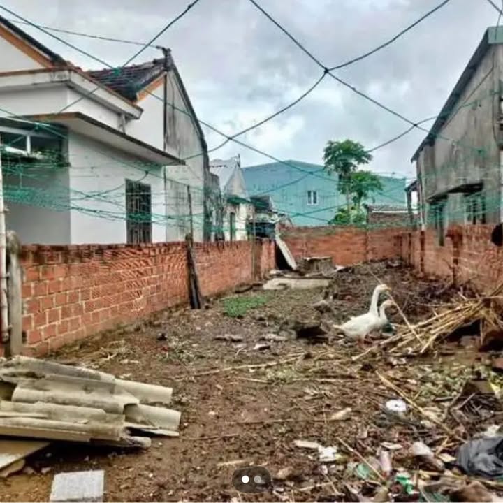 Đất thổ cư xã Phước Quang 106m² giá 500 triệu - Khu dân cư đông đúc, yên tĩnh!