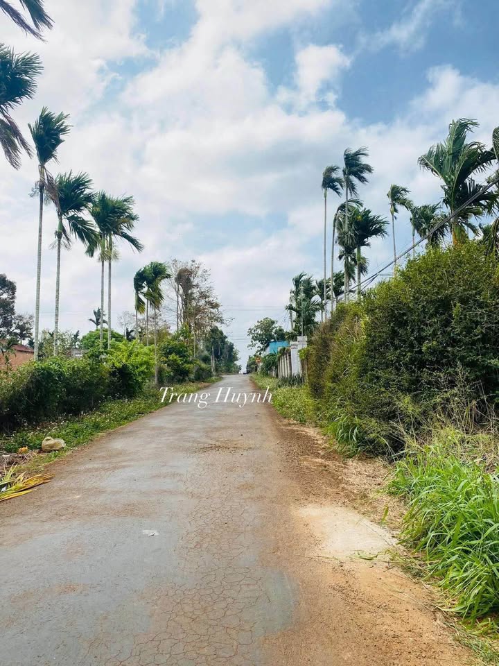 Đất nền Tân Lập Buôn Ma Thuột 550m² giá 2.15 tỷ - Cơ hội đầu tư sinh lời!