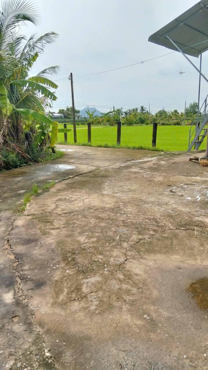 Đất nền 1275m² tại thôn Phú Điền, Hàm Phú chỉ 470 triệu - Cơ hội đầu tư tuyệt vời!