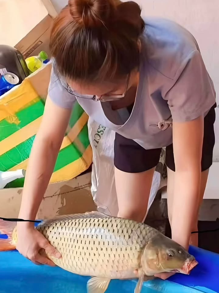 Nhà 1 trệt 2 lầu tại KDC An Hòa, Biên Hòa - Diện tích 105m², giá chỉ 5 tỷ!