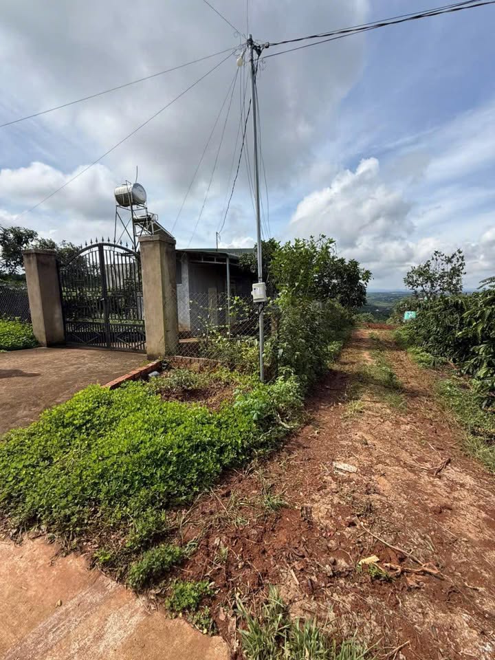 Đất nền Tân Hà Lâm Hà 3600m² giá 1.5 tỷ - Mặt đường bê tông, view thoáng đẹp!