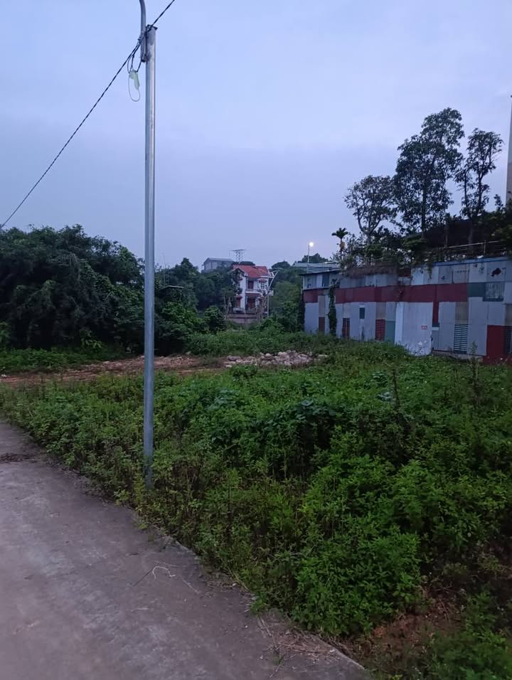 Đất nền Vân Phú, Việt Trì 73m² giá 1.6 tỷ - Đường rộng, dân cư đông đúc!