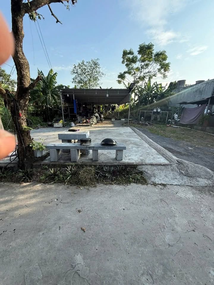 Đất Ninh Vân Hoa Lư 120m² giá thỏa thuận - Dân cư yên tĩnh, thuận lợi sống!