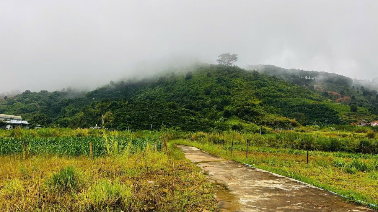 Đất nền Đông Thanh Lâm Hà 339m² giá 650 triệu - Săn mây tại nhà!