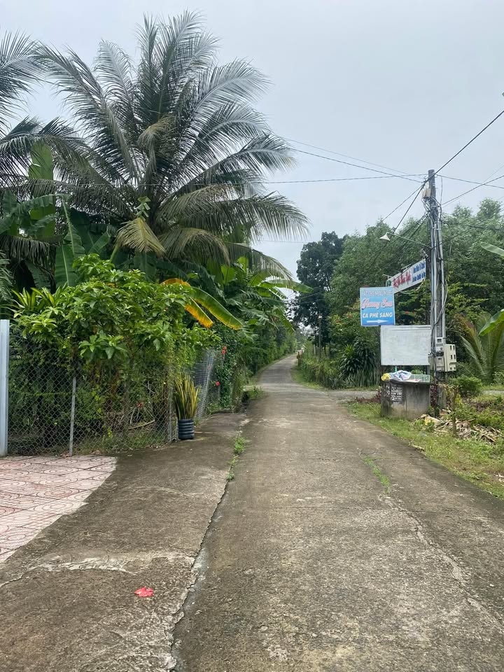 Đất nền Xuân Trường 300m² - Mặt tiền bê tông, sổ đỏ chính chủ!