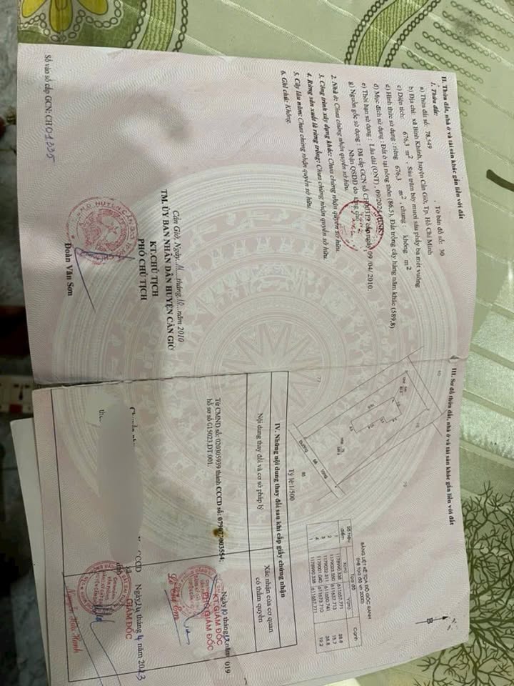 Biệt thự nhà vườn Cần Giờ 676m² giá 3.75 tỷ - Chính chủ bán gấp!