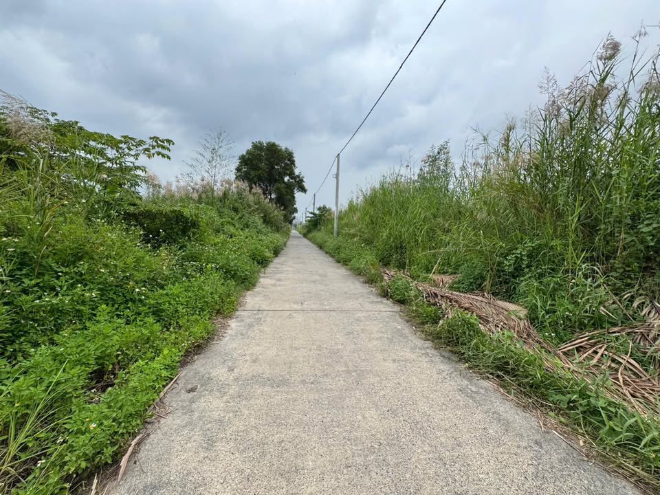 Đất nền 5000m² mặt tiền đường Liên ấp 2-3, Hiệp Phước, Nhà Bè - Giá chỉ 10 tỷ!