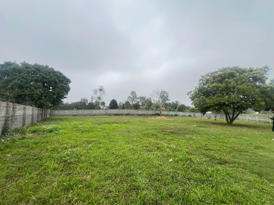 Đất nền 1.952m² tại Nhuận Trạch, Lương Sơn, Hòa Bình - Giá chỉ 7.808 triệu VND!