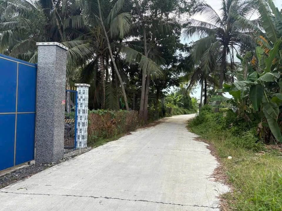 Nhà yến Bến Lức 1000m² giá 4.6 tỷ - Chính chủ bán gấp trong tháng!