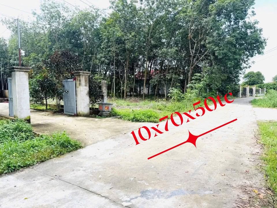 Đất nền Minh Hưng Chơn Thành 730m² giá 800 triệu - Đầu tư sinh lời ngay!