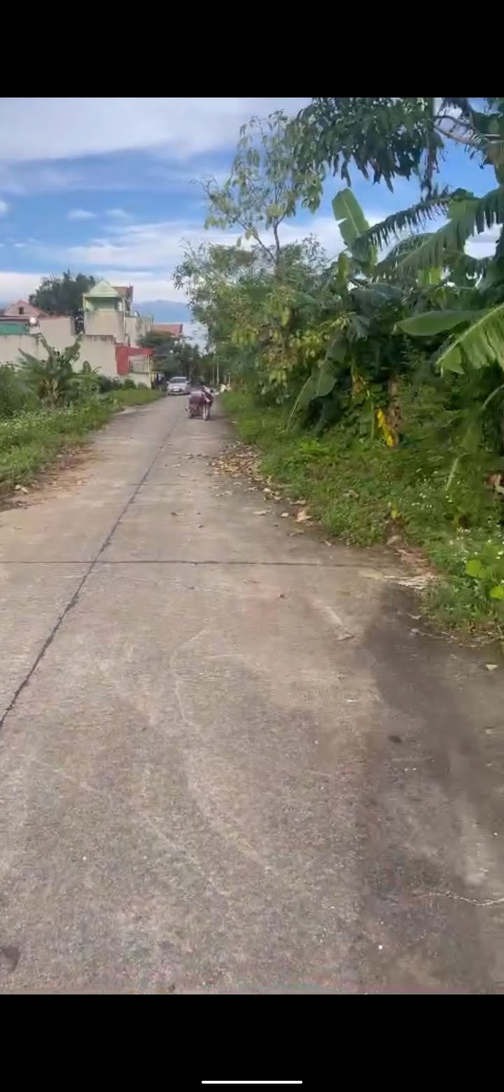 Đất nền chính chủ tại Nam Sơn, Tam Điệp 69m² - Giá hấp dẫn, thỏa thuận!