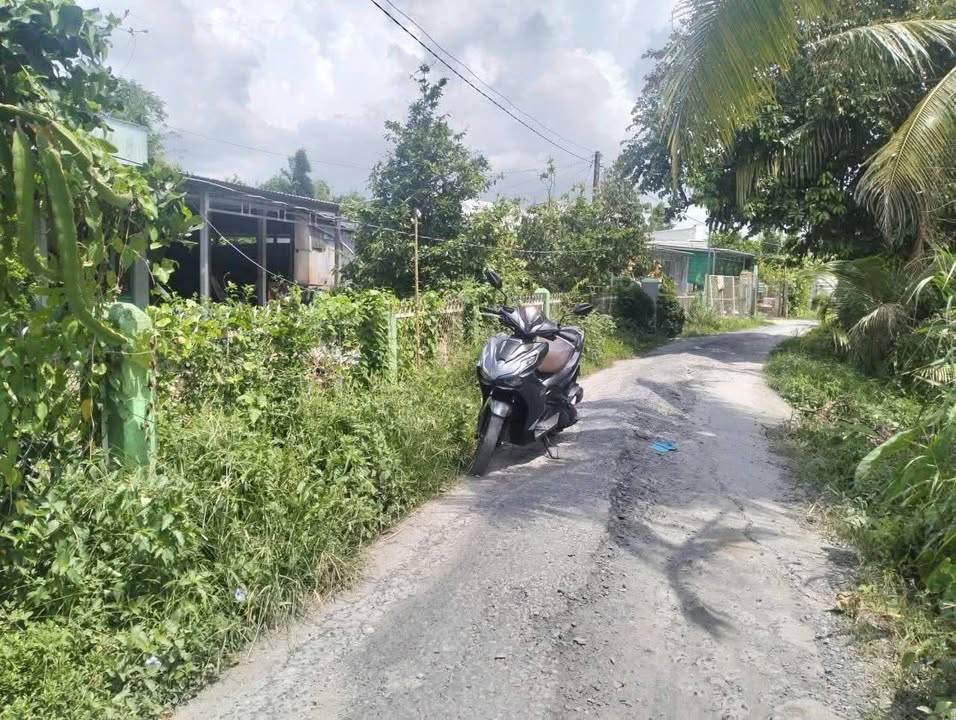 Đất nền xã Tân Nhuận Đông 237m² giá 420 triệu - Cơ hội đầu tư lý tưởng!