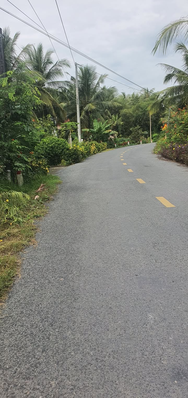 Đất nền 15x67m mặt tiền Tỉnh lộ 911, Tiểu Cần - Giá 1.5 tỷ, chính chủ bán gấp!