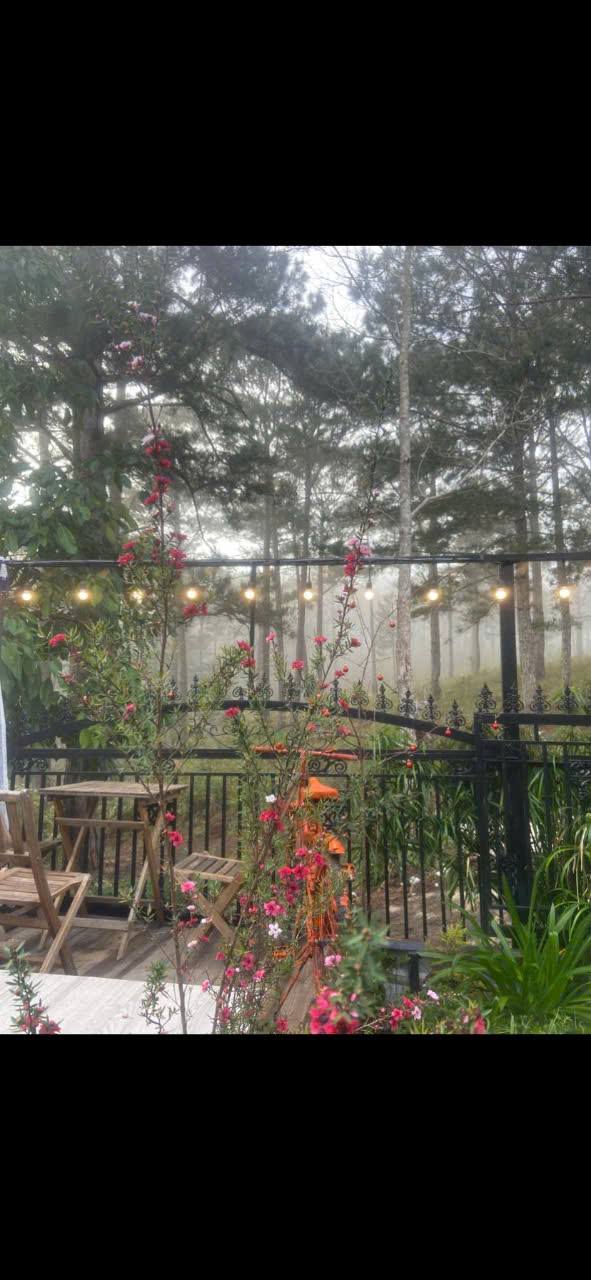 Nhà cho thuê đường Mai Xuân Thưởng, Đà Lạt 2PN giá chỉ 7 triệu/tháng - Đường ô tô, sân đậu xe thoải mái!