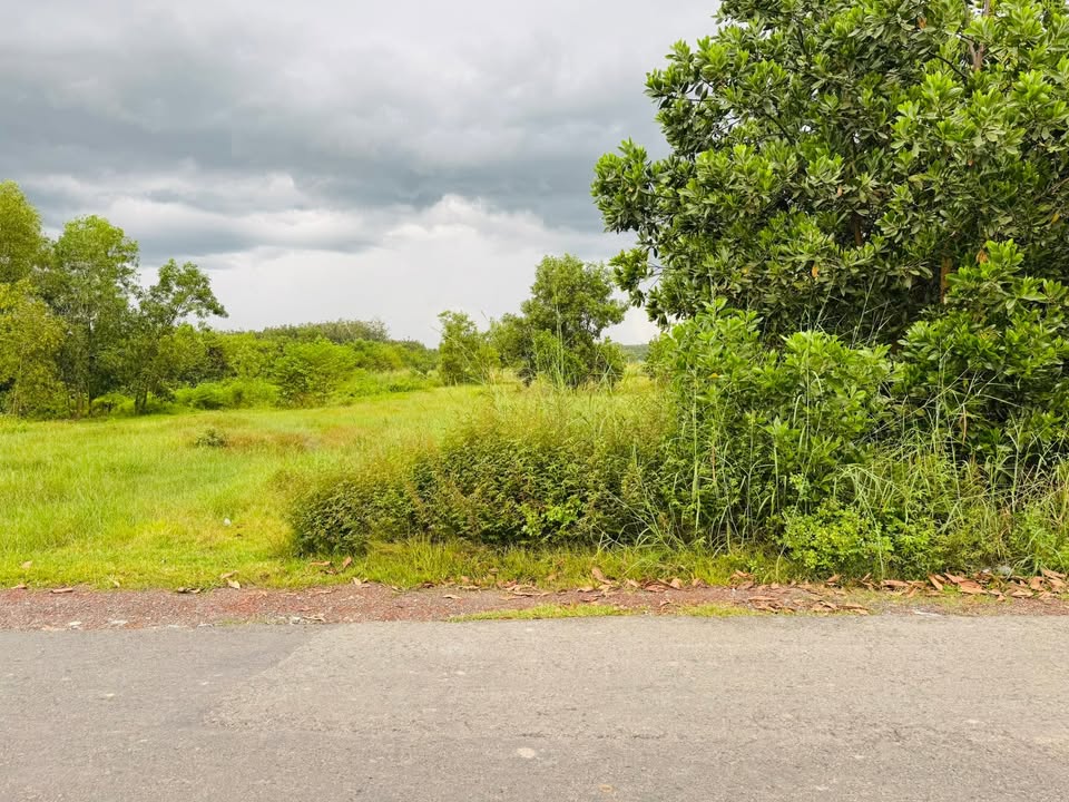 Đất nền An Bình 2400m² giá 1.25 tỷ - Gần cổng chào An Điền!