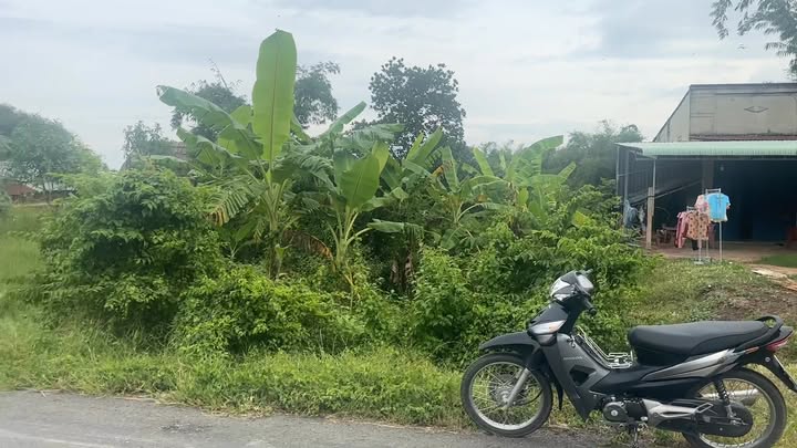 Đất nền Bến Cầu Tây Ninh 155m² giá 390 triệu - Sổ hồng riêng, sang tên ngay!