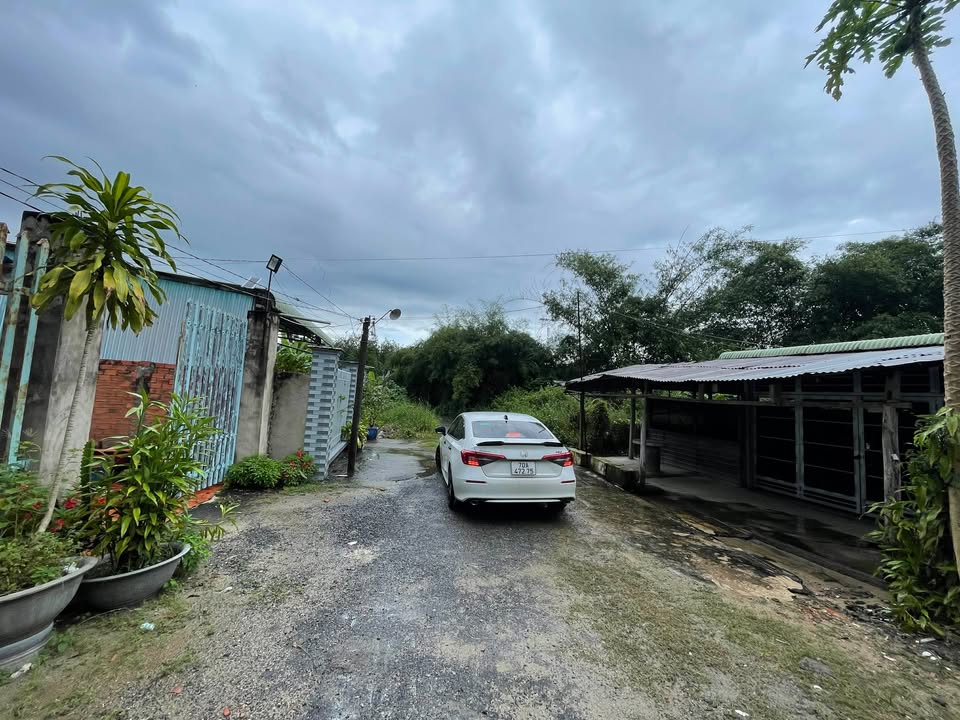 Nhà đất ấp Thuận Hoà, Bến Cầu, Tây Ninh 100m² - Giá chỉ 650 triệu!