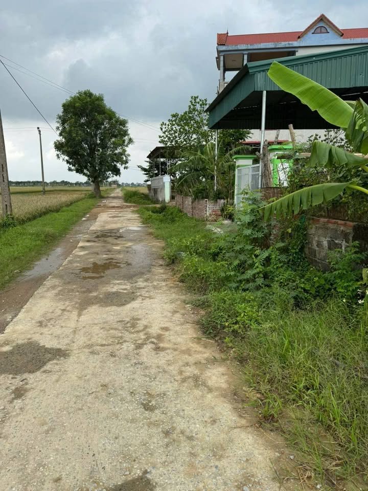 Đất thổ cư 200m² Xuân Phong, Thọ Xuân - Giá xả lỗ chính chủ!