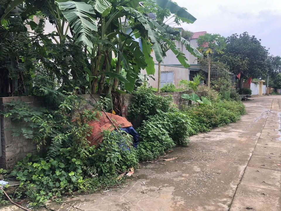 Đất thổ cư 73m² tại Linh Sơn, Thạch Thất - Gần Quốc Lộ 21, Giá thỏa thuận!