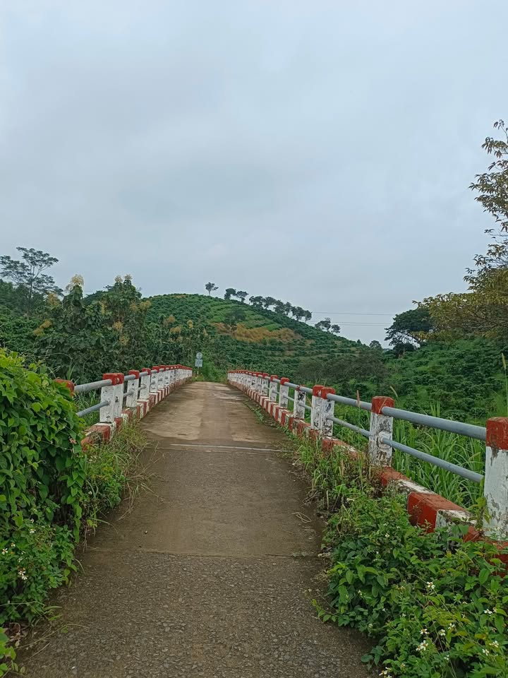 Đất Farm Đắk Sôr 2000m² giá 100 triệu - Cơ hội đầu tư hấp dẫn!