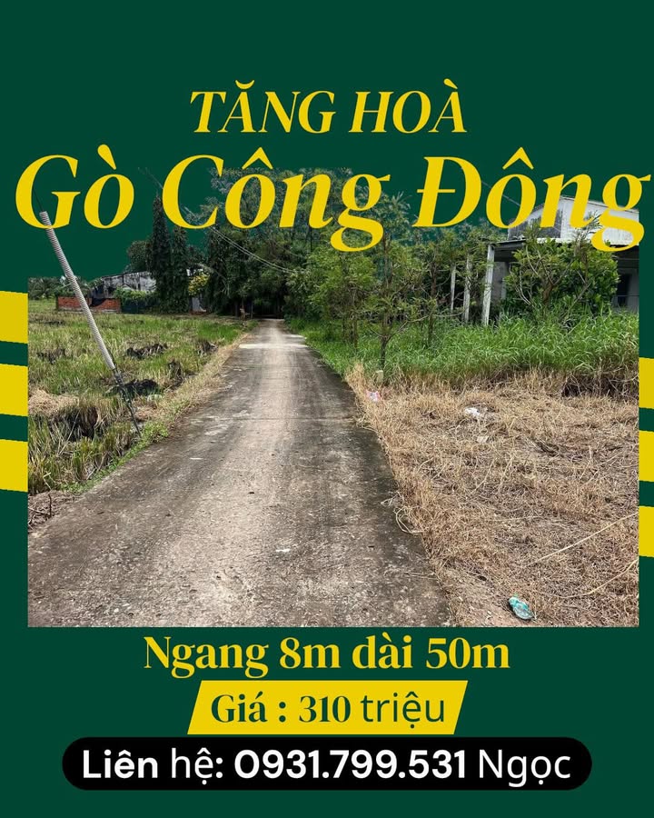 Đất thổ cư 100m² xã Tăng Hoà, Gò Công Đông chỉ 310 triệu - Sổ đỏ chính chủ!