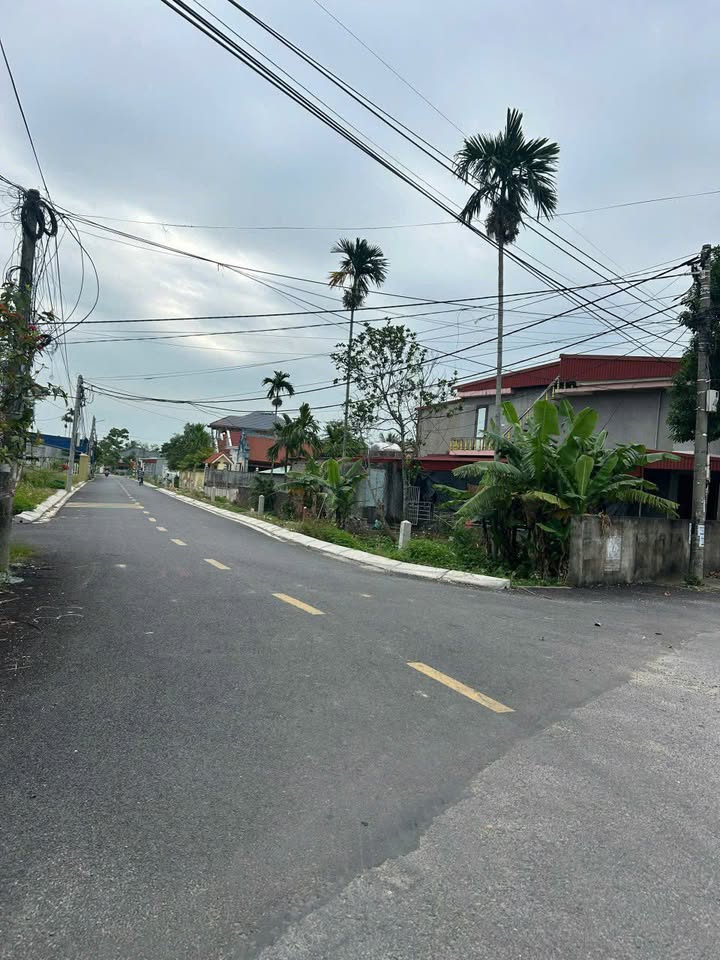 Đất nền ngay cổng Trào Thái Lai Tân Phong Kiến Thụy 107m² - Đầu tư sinh lời lý tưởng!