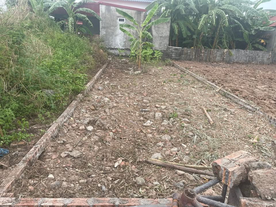 Đất nền Tân Phong, Kiến Thụy 70m² giá 800 triệu - Cơ hội đầu tư hấp dẫn!