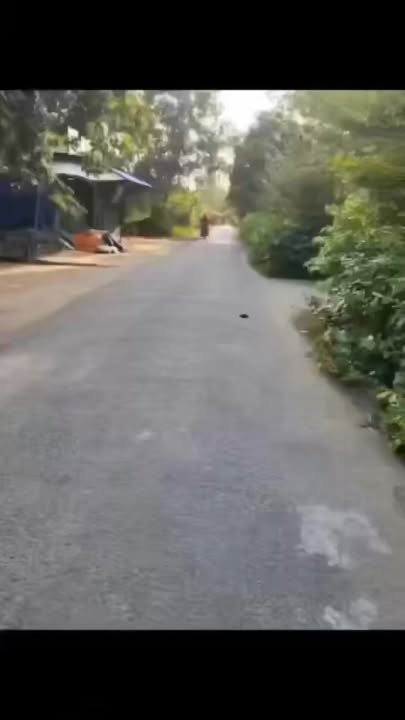 Nhà mặt tiền kinh doanh Phú Long, Bến Tre 204m² giá 650 triệu - Cơ hội đầu tư tốt!