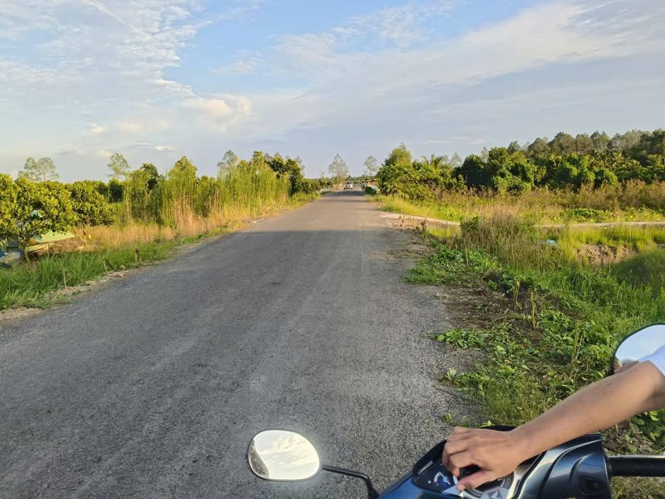 Đất ruộng 1190m² mặt tiền 15,5m - Thích hợp đầu tư tại Mỹ Thuận