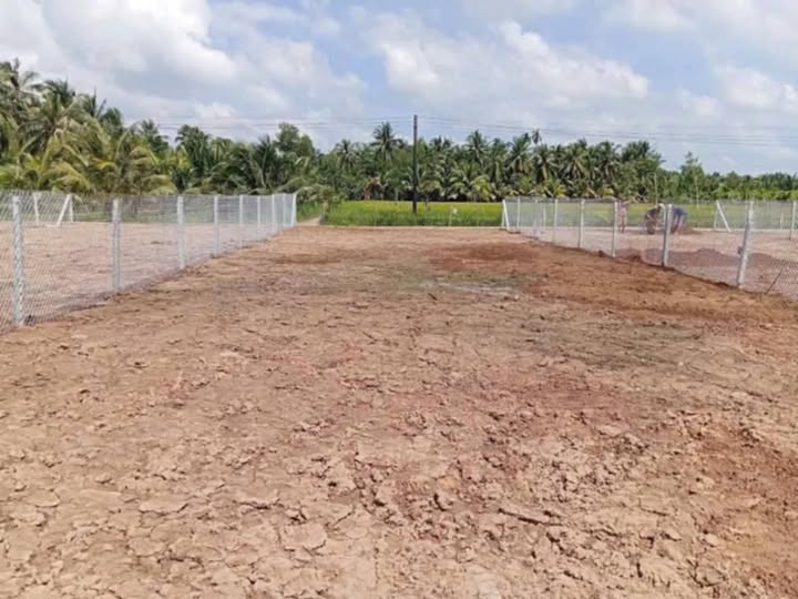 Đất nền Ấp Cây Gòn, xã Hiếu Trung, 256m² giá chỉ 250 triệu - Cơ hội đầu tư tuyệt vời!