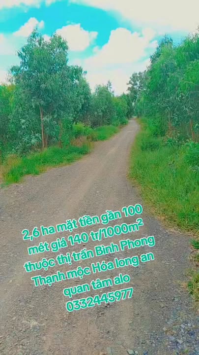 Đất nền 2,6ha tại thị trấn Bình Phong Thạnh, Mộc Hóa - Giá chỉ 3,64 tỷ