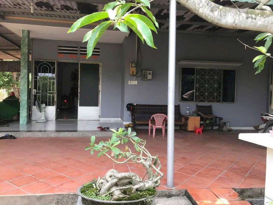 Nhà vườn 2400m² tại Vĩnh Lộc A, Bình Chánh - Giá 31 tỷ thương lượng