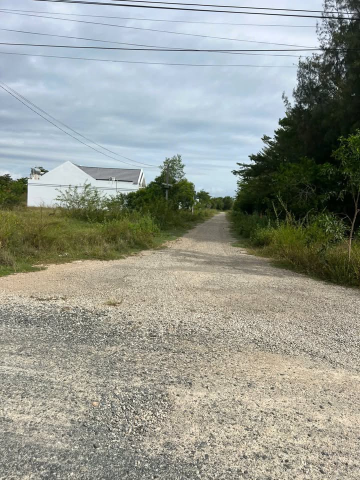 Đất đẹp Tân Bình La Gi 150m² giá 1.35 tỷ - Cơ hội đầu tư lý tưởng!