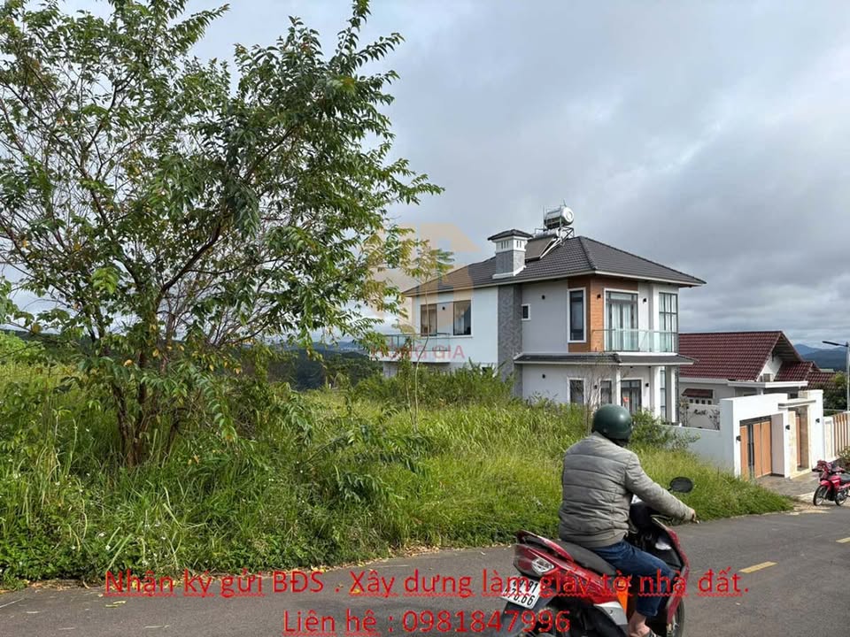 Bán lô đất 300m² view đồi Đà Lạt giá chỉ 9 tỷ - Đầu tư sinh lời ngay!