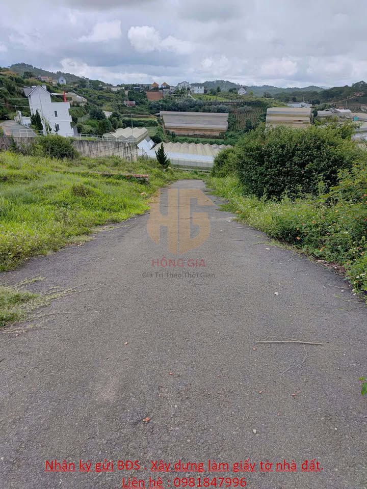 Đất nền Măng Linh Đà Lạt 200m² giá 5.2 tỷ - View thoáng, đường ô tô vào tận nơi!