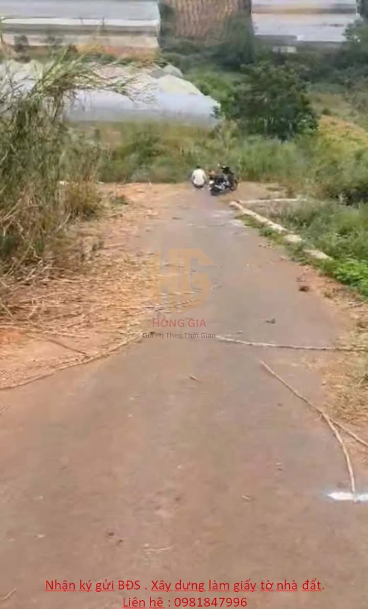 Đất nền đẹp phường Langbiang, Đà Lạt 351m² - View đồi thoáng mát!